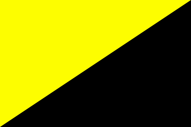 Black and yellow flag symbolizing anarcho-capatalism